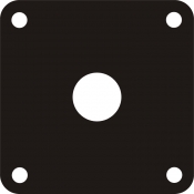 Bally Power Cord Plate